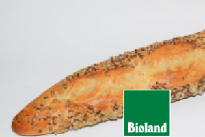 Saatenbaguette