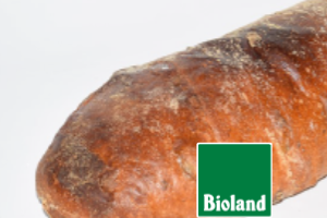 Oliven-Ciabatta