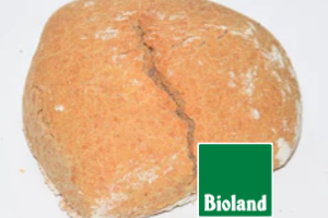 Vollkorn-Dinkel-Weckle