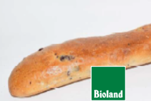 Olivenseele